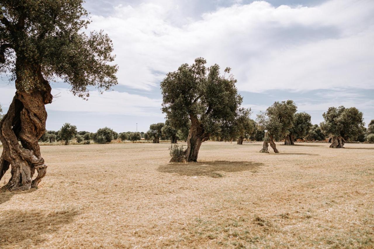 Masseria Garrappa Фазано Экстерьер фото