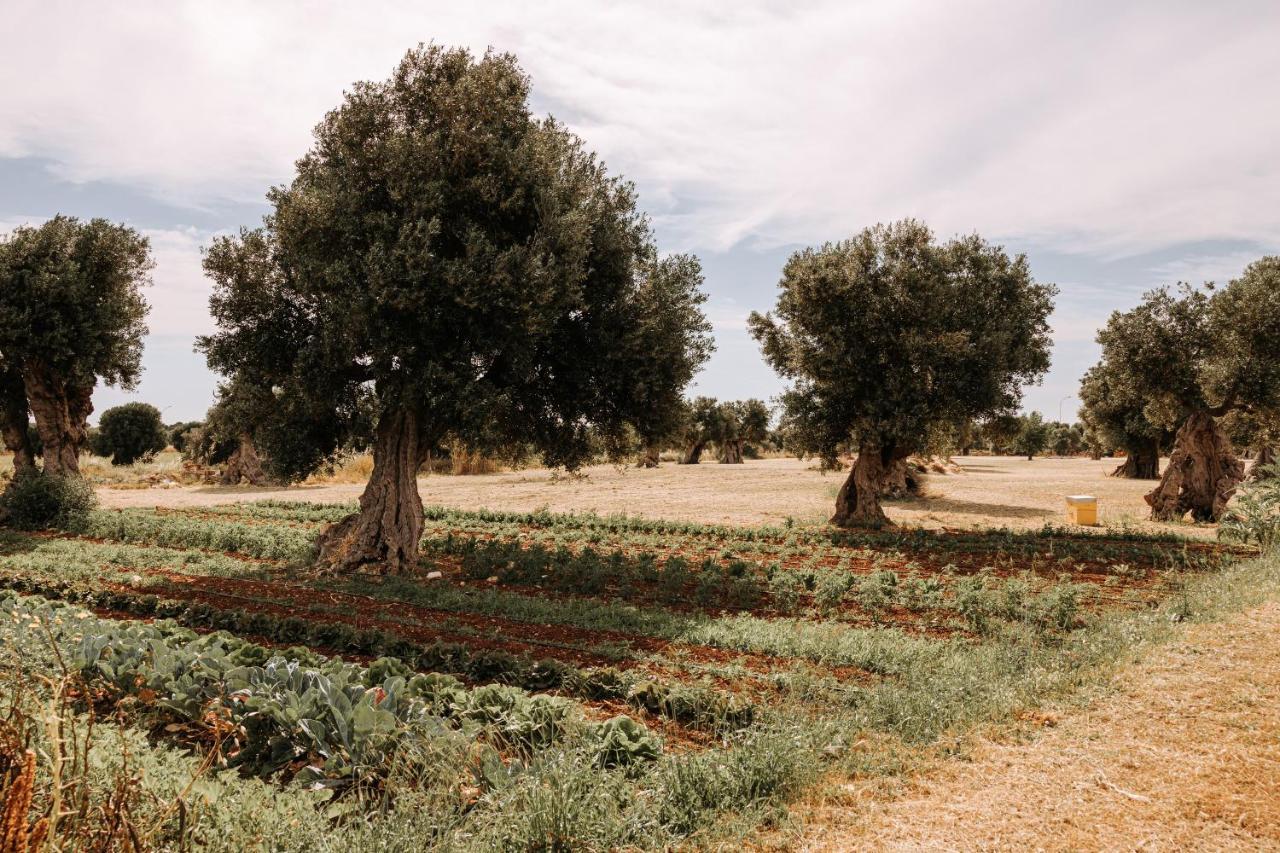 Masseria Garrappa Фазано Экстерьер фото