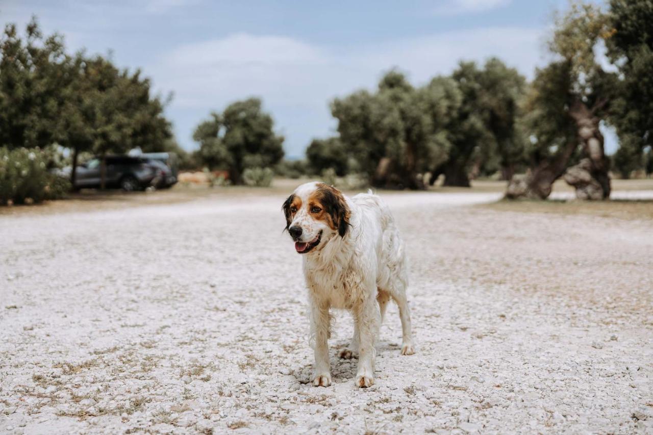 Masseria Garrappa Фазано Экстерьер фото
